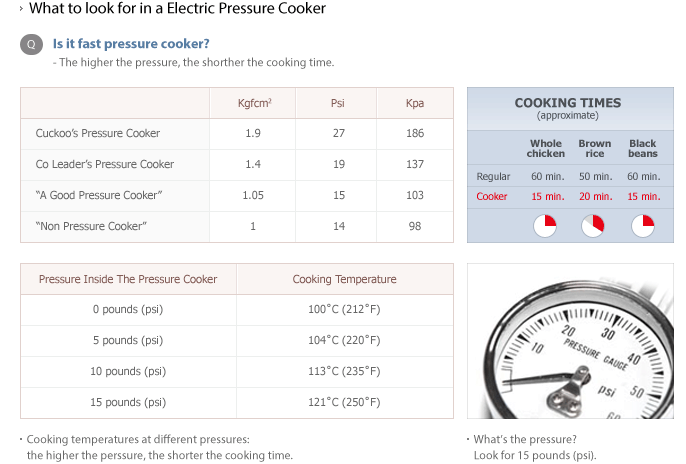 What to look for in a Electric Pressure Cooker - Is it fast pressure cooker?